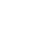Cerebral Valley logo